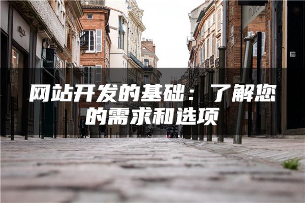 網(wǎng)站開發(fā)的基礎(chǔ)：了解您的需求和選項(xiàng)